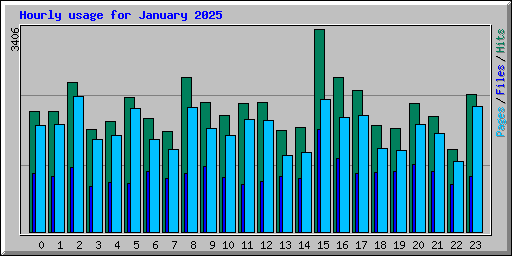 Hourly usage for January 2025