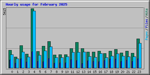 Hourly usage for February 2025