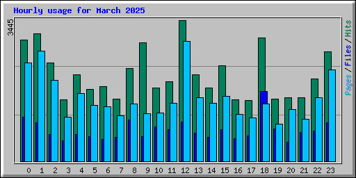 Hourly usage for March 2025