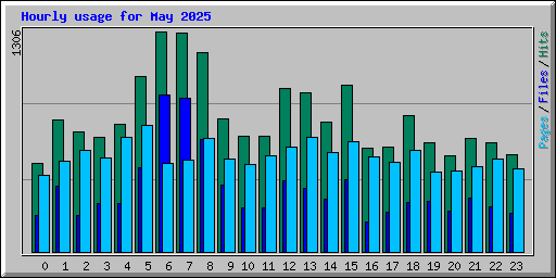 Hourly usage for May 2025