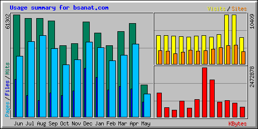 Usage summary for bsanat.com
